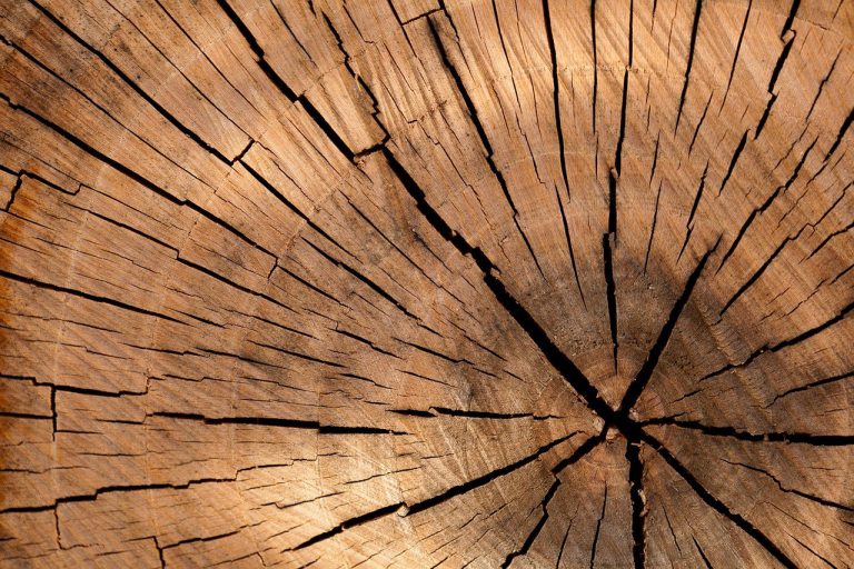 Zelf een houten meubel maken? Zo doe je dat!