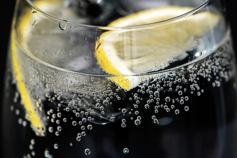 Gin bestellen, waar moet je op letten