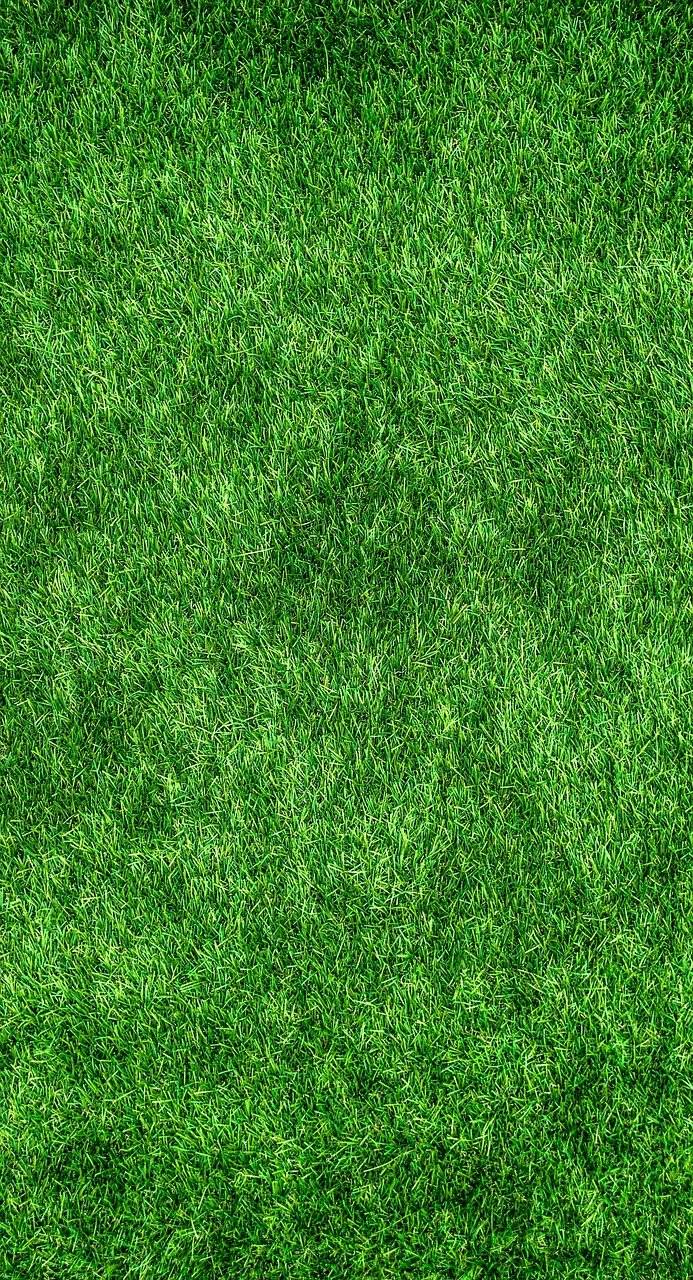 Gras groener dan ooit