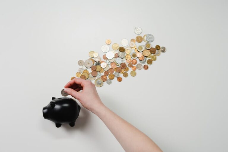 Waarom zijn sommige landen gevoeliger voor financiele exploitatie dan andere?